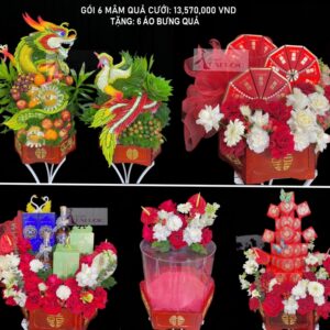 MÂM QUẢ CƯỚI GÓI 46: 13.570.000 VND